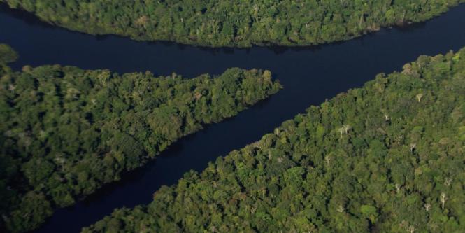 Santa Rosa: ABC para entender el reclamo de Colombia a Perú por esta isla en el río Amazonas 