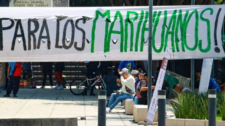 La mudanza de los espacios para fumar marihuana en CDMX incluye nuevas reglas y algunos rechazos