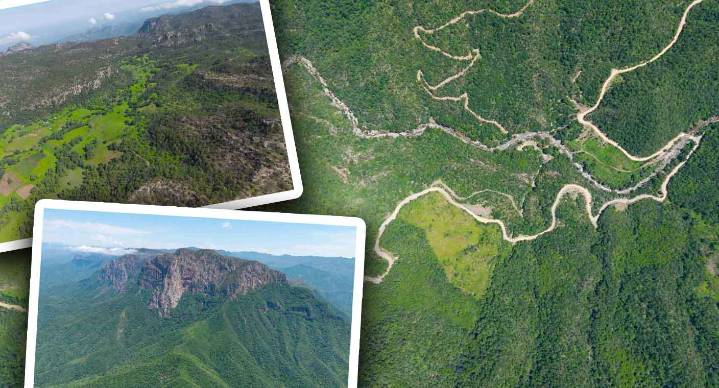 Reverdece Álamos, Sonora, tras abundantes lluvias en esta temporada (FOTOS)
