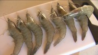 FDA warns against eating certain shrimp sold at Walmart amid investigation into radioactive contamination