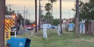 Ayuda a su vecina atacada por abejas, pero cuando llegó la ambulancia otra vez los picaron