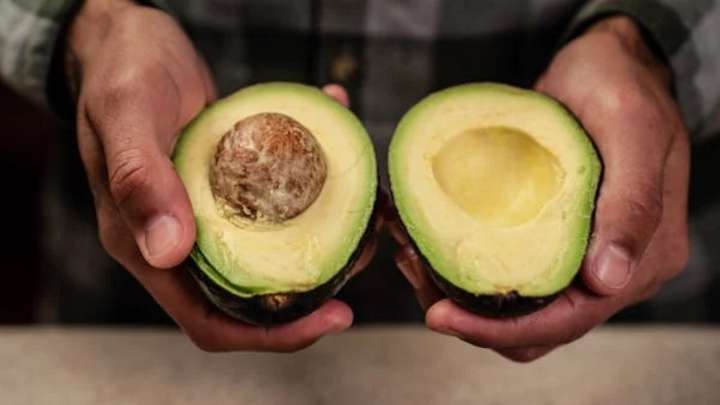 La UE ha rechazado una partida de aguacates peruanos contaminada con cadmio: ¿cómo afecta a la salud?