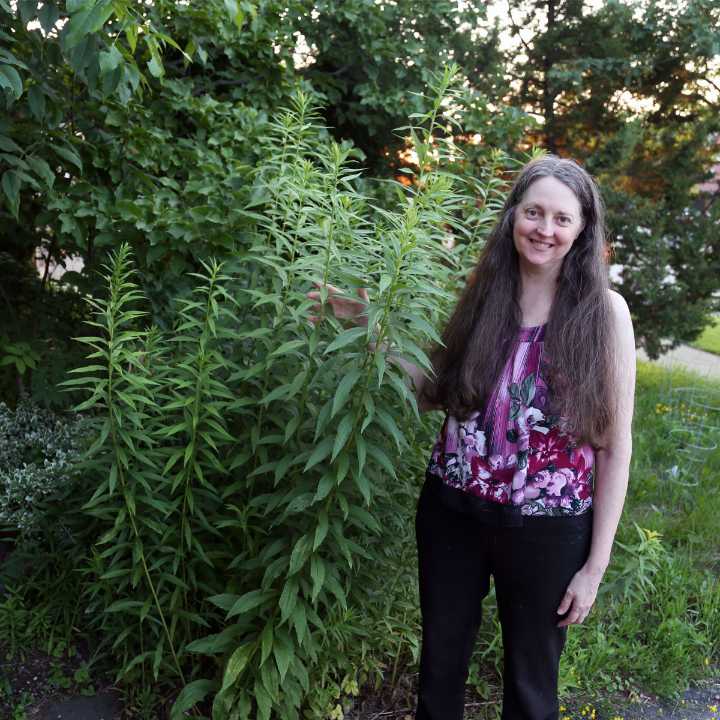 Constitutional right to a wild garden with weeds and bees to be tested in Ontario court