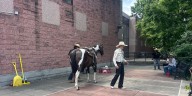 Preserving & growing Kansas City’s black cowboys, cowgirls