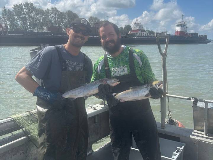 B.C. fishing industry wants more access to Fraser River sockeye surge