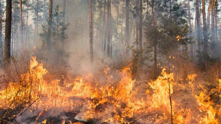 Agricultores navarros denuncian la prohibición de realizar su trabajo durante la ola de calor: "Combinar trabajos más peligrosos con lo que sería la necesidad"