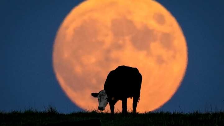When is the September full moon? Here's what to know