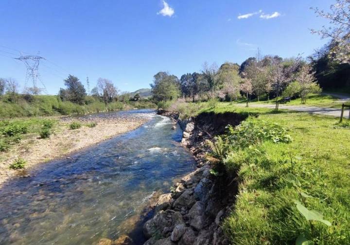 La Confederación Hidrográfica trata de frenar la erosión del Besaya en Cartes