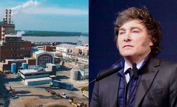 Tras perder $170.000 millones, Celulosa se presentó en concurso de acreedores