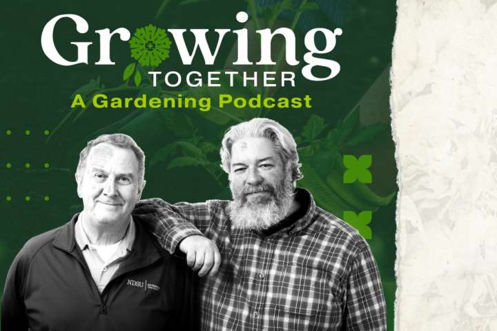 What's in the listener mailbag? Horned caterpillars, neglected lawns, apple trees and more