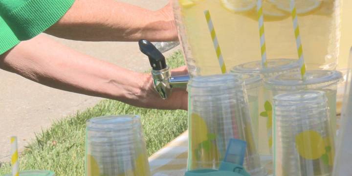 De Pere kids host lemonade stand to help kids with cancer