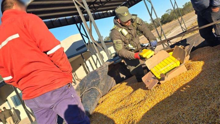 Un perro policía detectó 44 kilos de cocaína en un camión que se dirigía a Rosario
