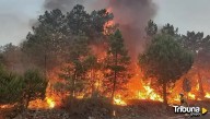 Infantes de la Marina llegan a Ciudad Rodrigo para colaborar contra los incendios