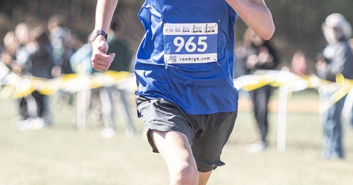 Lewisburg, returning state qualifiers look to fill void