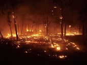 Deadly Wildfires Engulf Europe, Killing at Least Four