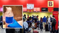 Cubano detenido en Houston por intentar ingresar veneno de escorpión desde Cuba