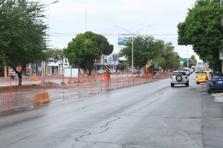 Reiteran que no habrá tala, sino trasplante de árboles en Sistema Vial Abastos