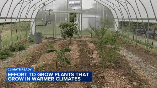 Nonprofit exploring effort to grow plants that grow in warmer climates