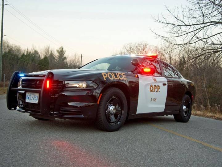 OPP briefs
