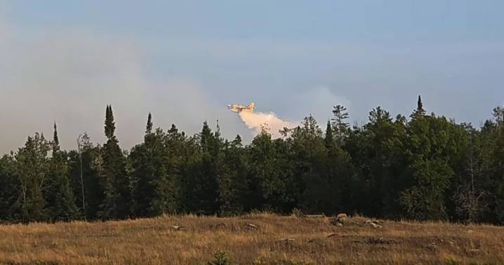 Forest fires in northern Kawartha Lakes, area east of Apsley