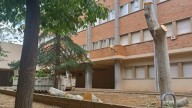 Denuncian la tala irregular de tres árboles en el colegio de La Fuenfresca de Teruel