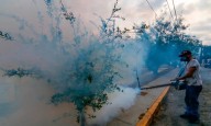 México acumula más de 6 mil casos de dengue en 2025