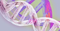 Scientist Warns That New Synthetic Lifeform Could Spell Doom for Humankind