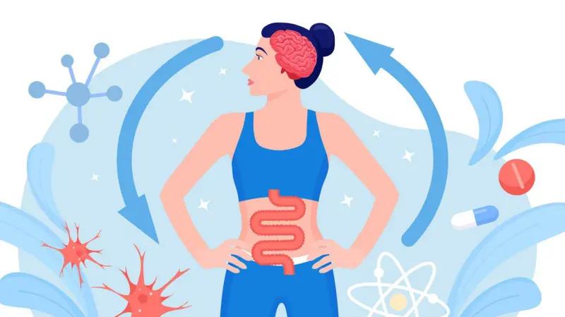 El Intestino: Tu Segundo Cerebro y la Clave para el Bienestar Físico y Mental