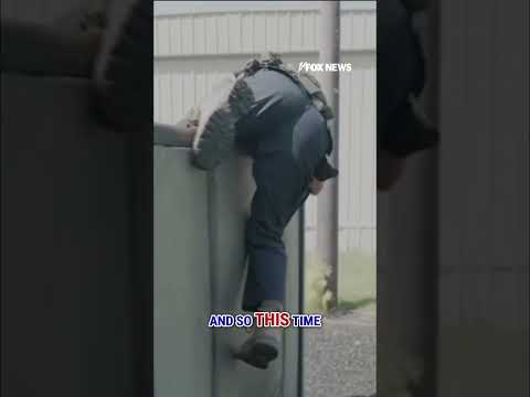 WATCH: 'Superman' trains with ICE #shorts #foxnews #news #us #fox #deancain #usnews #ICE
