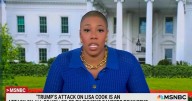 MSNBC Host Symone D. Sanders-Townsend Calls Out Donald Trump Targeting ‘Only Black Woman’ on Fed Board