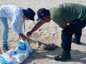 El miedo impacta en las compras en puertos de Yucatán