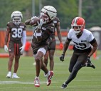 Is Browns Release The End of Diontae Johnson?