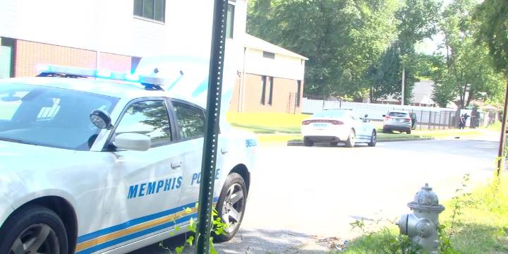 Man on the run after carjacking leads to crash, according to MPD