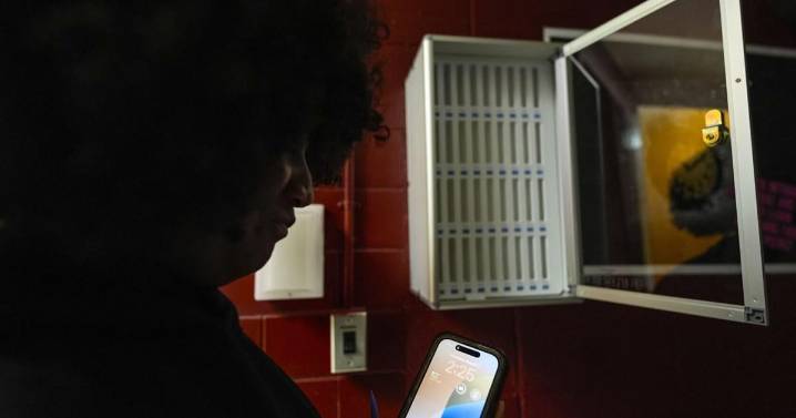 Phone bans in schools see mixed reactions