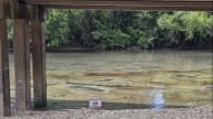 Tangipahoa River closed from Wilmer to Ponchatoula for cleanup efforts