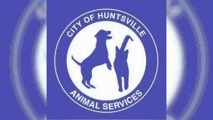 City Council approves Huntsville Animal Services increase to voluntary animal surrender fee