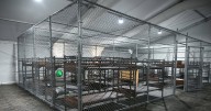 Florida's 'Alligator Alcatraz' detention facility to be empty 'within a few days'