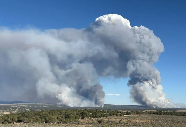 Declaran emergencia por Elk Fire en Colorado