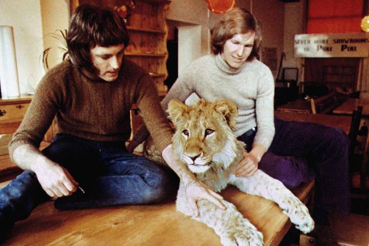 Men Reunite with Christian the Lion 2 Years After Buying Him in Department Store