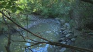 'Large amount of rags' blamed for blockage that caused sewage spill in east end creek