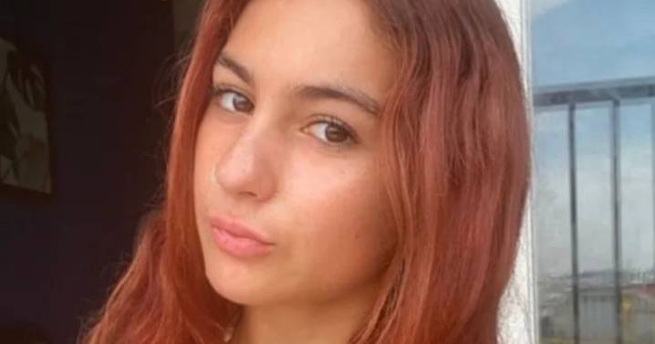 Brit backpacker pleads guilty after e-scooter crash killed dad