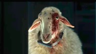 ALIEN: EARTH's Most Terrifying Creature Is a Sheep