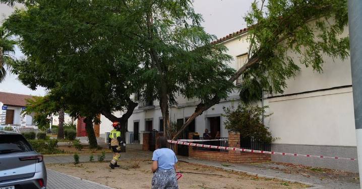 Rachas de viento de 100 kilómetros por hora provocan numerosos daños en Pozoblanco
