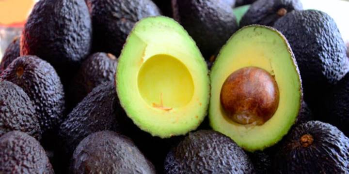 Bolivia investiga a la palta peruana por supuestos niveles peligrosos de cadmio