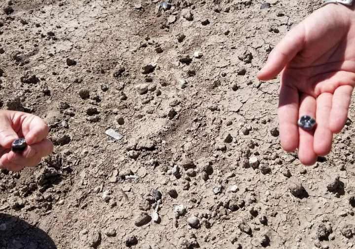 Hallan en Etiopía restos de una nueva especie de homínido coetáneo de los primeros humanos