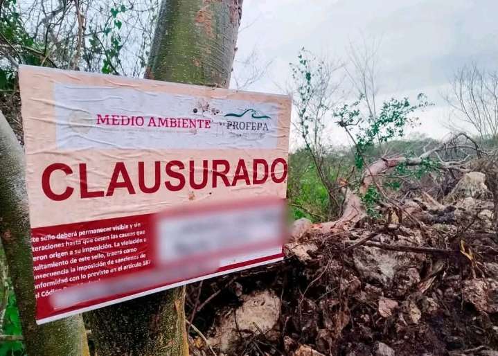 Profepa clausura predio en la Reserva Cuxtal por uso ilegal de suelo