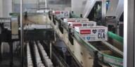 Lácteos Verónica adeuda salarios y sus empleados temen despidos