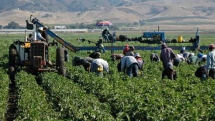 ICE obliga a Modesta a elegir entre la deportación o separarse de sus hijos