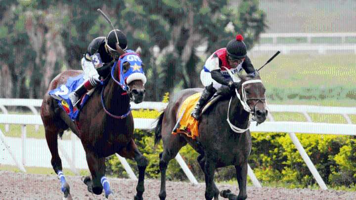 INH: Resultados del Hipódromo La Rinconada, domingo 17