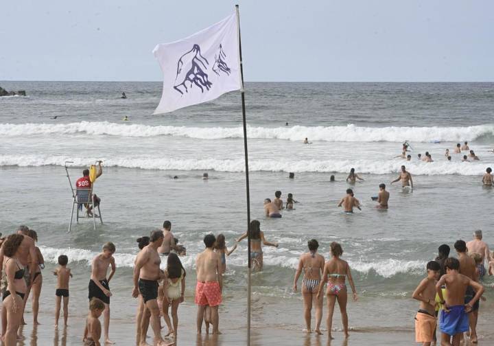 Tres personas sufrieron ayer picaduras de carabela portuguesa en Gipuzkoa